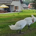 Rum i privatbostad Aura