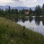 Aura *