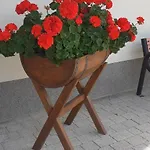 Rum i privatbostad Aura *