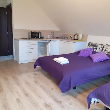 Проживание в семье Aura