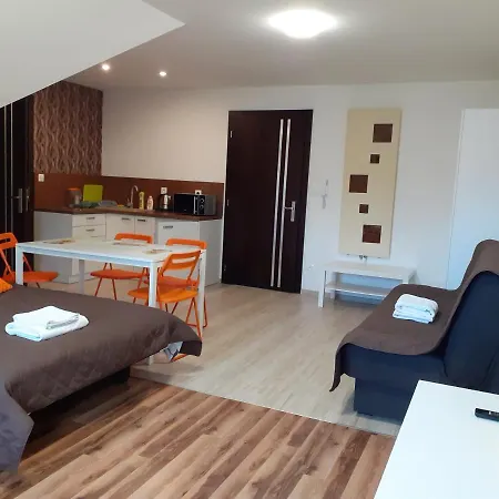 Проживание в семье Aura *