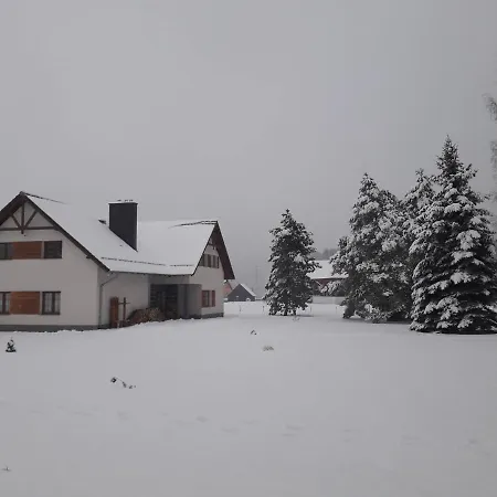 Aura Проживание в семье *