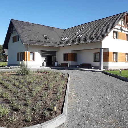 Проживание в семье Aura Kostrzyca