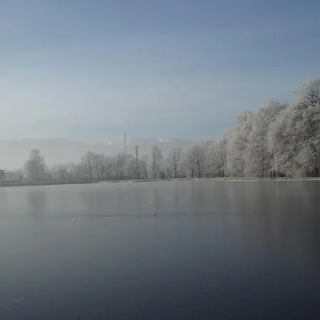 Проживание в семье Aura *