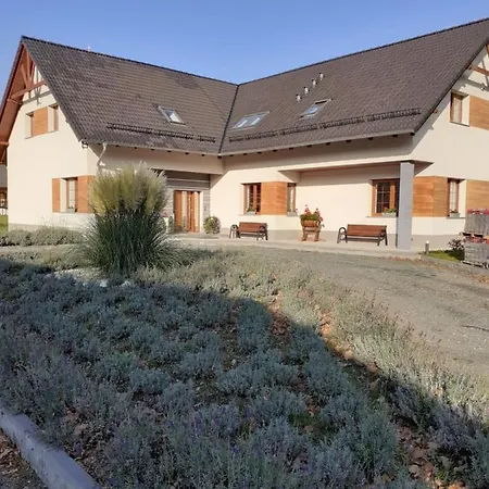 Homestay szállás Aura Kostrzyca