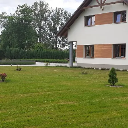 Aura Проживание в семье