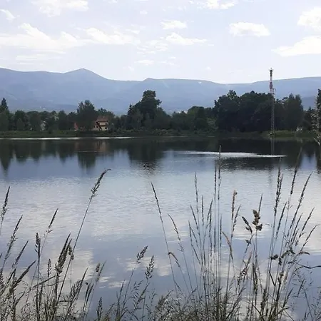 Aura Проживание в семье