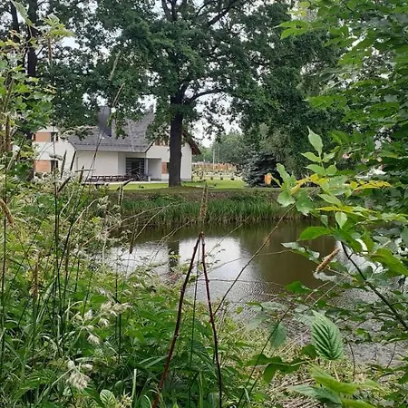 Aura Проживание в семье Kostrzyca