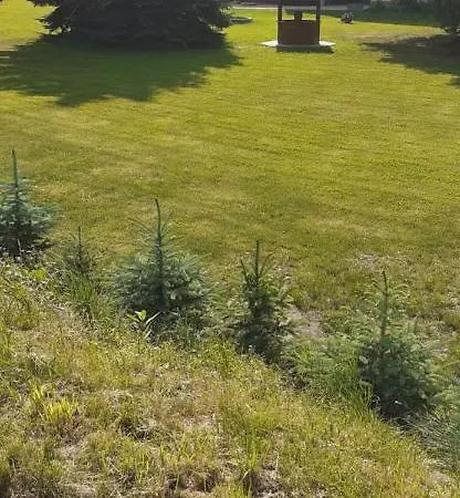 Проживание в семье Aura *