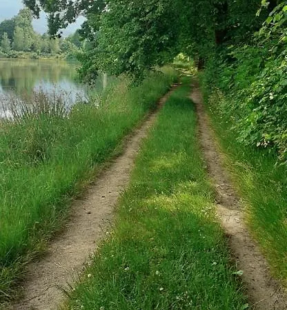 Проживание в семье Aura *