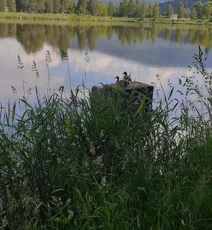 Проживание в семье Aura