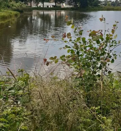 Aura Проживание в семье Kostrzyca