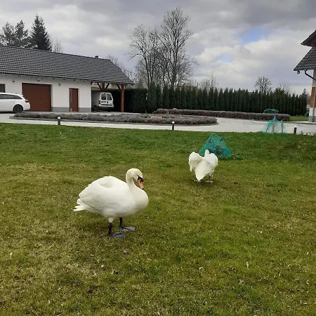 Проживание в семье Aura Kostrzyca