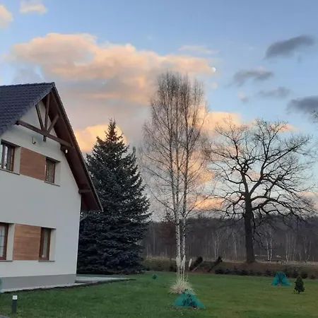 Проживание в семье Aura Kostrzyca