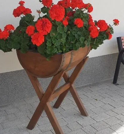 Проживание в семье Aura *