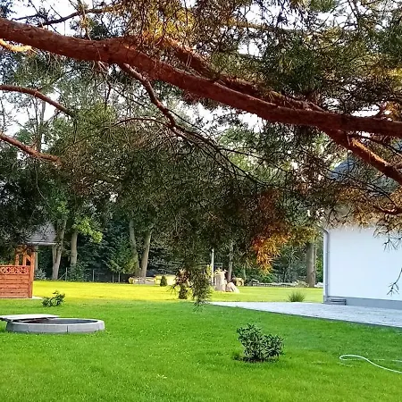 Aura Проживание в семье