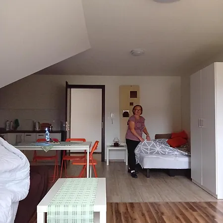 Aura Проживание в семье *