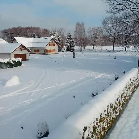 Aura Проживание в семье