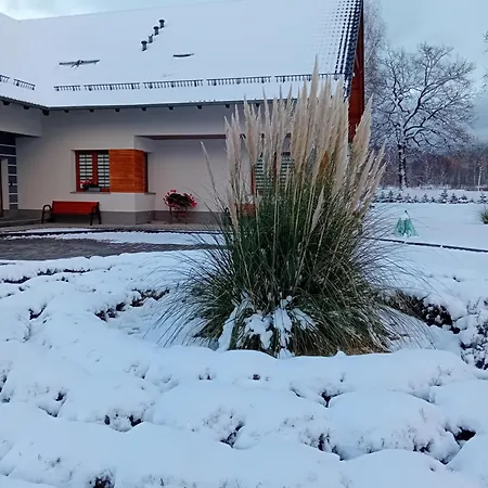 Проживание в семье Aura