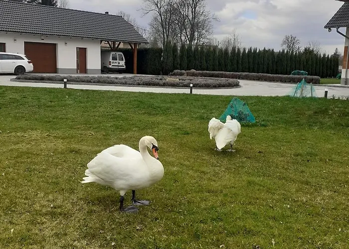 Homestay Aura Kostrzyca